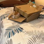 Sherri Kaplan - @sherrigkaplan - Instagram