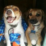 Sherry Kearns - @sherry_kearns - Instagram