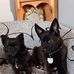Sherry Keating - Facebook