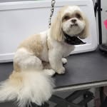Sherry P Keating - @scattrac75 - Instagram