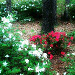Sherry Keener - @fsmrecruiter - Instagram