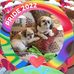 Sherry Keener - Facebook