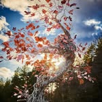 Sherry Kemp - @skemp44 - Instagram