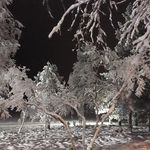 Sherry Kendall - @sherry.kendall1 - Instagram