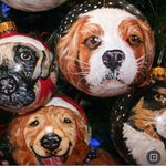 Sherry Kendall, Pet Portraits - @waggingtailportraits - Instagram