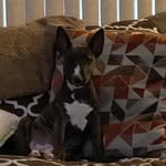 Sherry Keyser Willits - @keyserwillits - Instagram