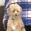 sherrykeyserwil57 - @sherrykeyserwil57 - TikTok