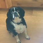 Sherry Lynn - @sherry.kingston.12 - Instagram