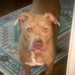 Sherry Krantz - @shoezzluvah64 - Instagram