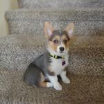 Kyle Sherry - @kylesherry_zg - Instagram