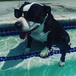 Sherry Lacey - @sherry.lacey.92 - Instagram