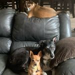 Sherry Lange Mattingly - @dakhotaskye - Instagram
