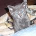 Sherry Langston - Facebook