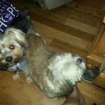 Sherry Laster - @sherry.laster.568 - Instagram