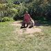 Sherry Latham Crunk - Facebook