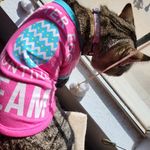 Sherry Layton - @sherrylayton4545 - Instagram