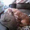 Sherri Loper - @sherri.loper - TikTok