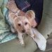 Sherry Loper - Facebook