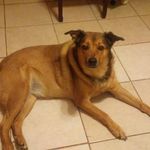 Sherry Lorraine Stanford - @sherrylorrainestanford - Instagram