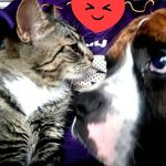 Sherry Lott Hays - @jagerhays - Instagram