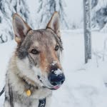 Sherry Loyd - @sherryloyd38 - Instagram