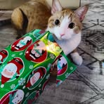 Sherry Loyd Thorne - Facebook