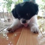 Sherry Lumanta - @lumantasherry - Instagram
