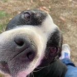 Sherry Lyons - @sherry.lyons.9235 - Instagram