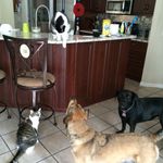 Sherry Lyons Despota - @sherrydespota - Instagram