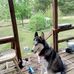 Sherry Mace - Facebook