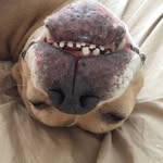 Sherry Madsen - @skfmadsen - Instagram