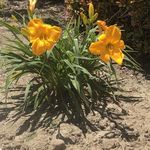 Sherry Main - @sherry614 - Instagram