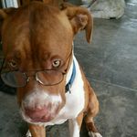 Sherry-Malcolm Evans - @sherrymalcolmevans - Instagram