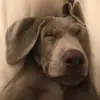 Sheri Mallory - @sheri.mallory2 - TikTok