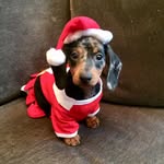 Sherry Mandell - @sherrymandell1234 - Instagram
