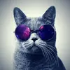 sherrymandell337 - @sherrymandell337 - TikTok