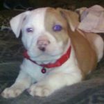 Sherry Manning - @sherry.manning1943 - Instagram