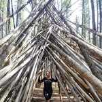 Sherry Manning - @sherrymanning62 - Instagram