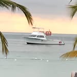 Sherry Lenae Marks - @sherrylenaemarks - Instagram