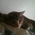 Sherry Marks - @smarks598 - Instagram