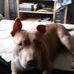 Sherri Marvin - Facebook