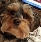 Sherry Marvin - Facebook