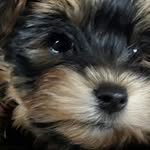 Sherry Marvin - @marvinsherry - Instagram