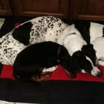 Sherry Massaro - Facebook