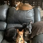 Sherry Lange Mattingly - @dakhotaskye - Instagram
