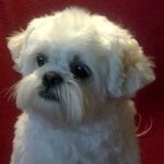 Sherry Mattingly - @sherry.mattingly.3 - Instagram