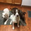 sherrymaysmcdon20 - @sherrymaysmcdon20 - TikTok