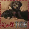 sherrymcclellan6 - @sherrymcclellan6 - TikTok