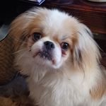 Sherrie L McCracken - @sherrielmccracken - Instagram