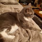 Sherry McCracken Southerland - Facebook